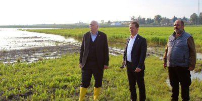 TZOB Genel Başkanı Bayraktar: "Üreticilerimize muhakkak nakdi yardım yapılması gerekiyor"