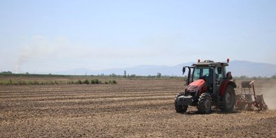 Adana'da çiftçilere kritik uyarı! Yapmayana ceza yağacak