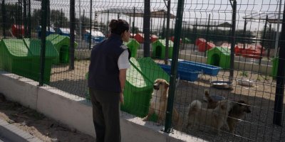 Ceyhan Belediyesi’nden Patili Dostlara Doğal Yaşam Alanı