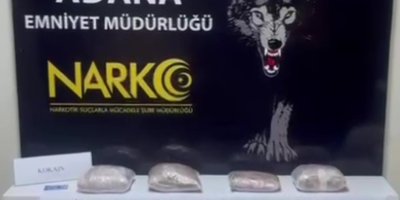 Aracında 825 kilo bonzai yapılacak ham madde yakalattı: "Bana ait değil"