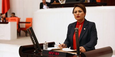 Dr. Müzeyyen Şevkin: Ekonomik sorunlar çözüm bekliyor