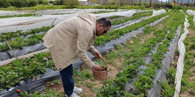 Hasadı çiftçi değil, vatandaş yaptı