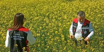 Sarıçam’da bitki sağlığı için sıkı denetim