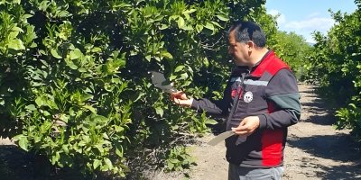 Adana’da üretim alanları mercek altında