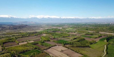 Adana'da üzerinde iki ev bulunan arsa icraya düştüğü için bu fiyata verilecek!