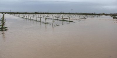 Adana Valiliğinden taşkın uyarısı