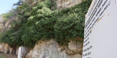 4 bin yıllık sarmaşığın gölgesinde baharı karşıladılar