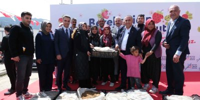 Pozantı’da üreticiye çilek fidesi desteği
