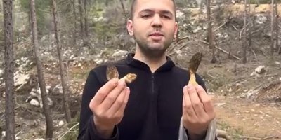 Feke’de kuzu göbeği bereketi