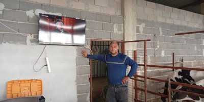 Adanalı üreticiden süt verimi için ilginç yöntem