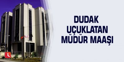 Dudak uçuklatan müdür maaşı
