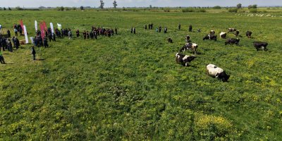 Kozan'da ıslah edilen mera alanı dualarla açıldı, sürüler alanda otlamaya başladı