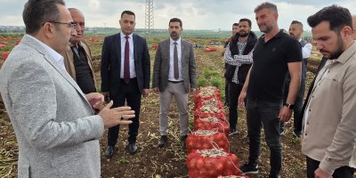 Abdullah Doğru’dan Sarıçam’da hasat mesaisi