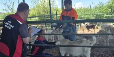 Sarıçam’da ari işletmelere sıkı denetim