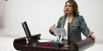 Müzeyyen Şevkin; "Karşılıksız çeklerde patlama oldu"