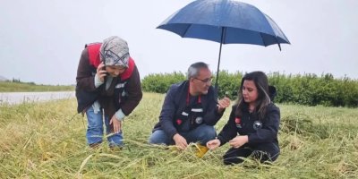 Kozan’da dolu ve sel sonrası hasar tespiti sürüyor