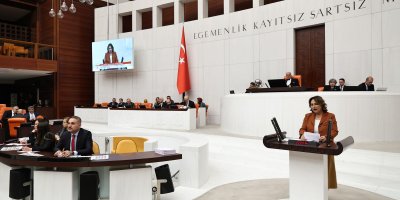 Müzeyyen Şevkin "Tapu Kanunu teklifiyle jeoloji mühendisliği yok sayılıyor!"