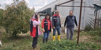 Kozan’da dolu hasarı için başvurularda son gün 11 Mayıs