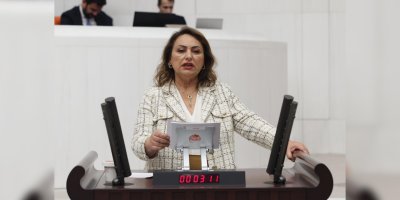 CHP'li Dr. Müzeyyen Şevkin'den Sağlık Bakanı Kemal Memişoğlu'na kritik soru önergesi