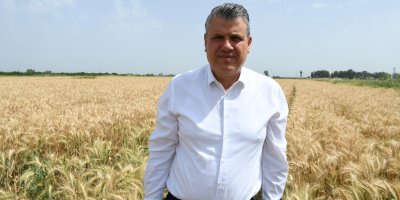 Ayhan Barut'tan buğdayda alım fiyatı çağrısı