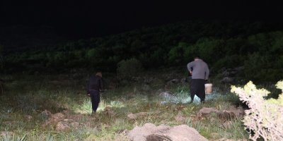 Kozan’da gece fenerlerle salyangoz avı