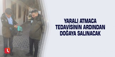 Yaralı atmaca tedavisinin ardından doğaya salınacak