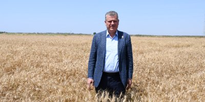Ayhan Barut: "Hasat geldi, fiyat hala yok"