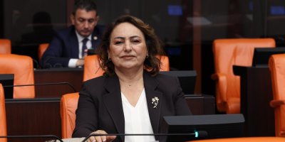 Müzeyyen Şevkin; ''Her afetten sonra aynı tabloyla karşılaşıyoruz''