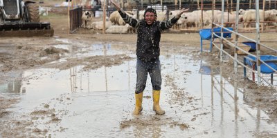 Adana'daki hava koşulları besicileri de vurdu!