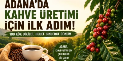 Adana’da kahve üretimi için ilk adım: 100 kök dikildi, hedef binlerce dönüm
