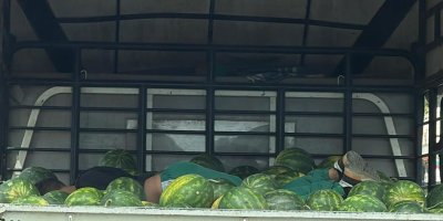 Adana’da karpuzların arasında uyuyan işçi gülümsetti