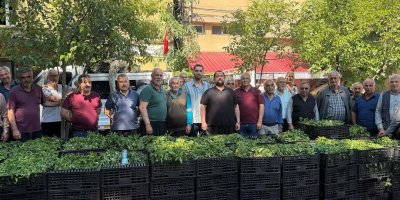Adana Büyükşehir’den üreticiye 120 bin biber fidesi desteği