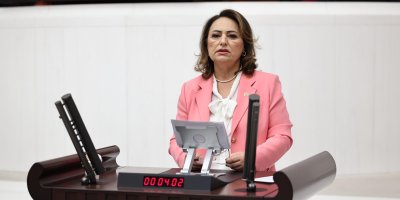 TBMM'de Adana sesleri yankılandı