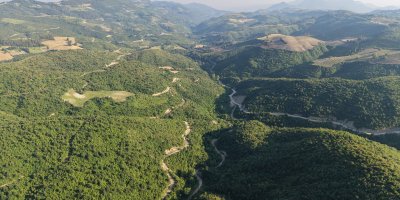 6 yıl önce alevlere teslim olan orman küllerinden doğdu