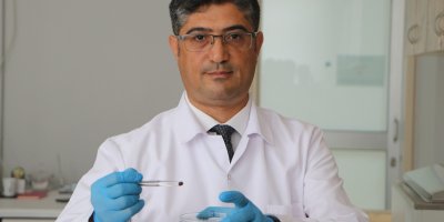 İklim değişikliği kene riskini artırdı