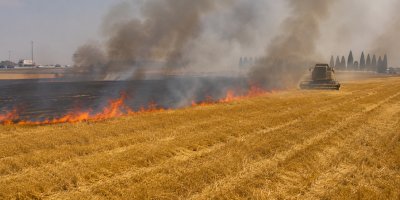 Çukurova’da hasat başladı, anız yangını uyarısı geldi