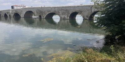 Seyhan Nehri çevresi için temizlik talebi
