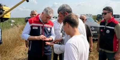 Ceyhan’da çörekotu üretimi 200 dekara çıktı