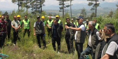 Adana Orman Bölge Müdürlüğü’nden sahada silvikültür eğitimi