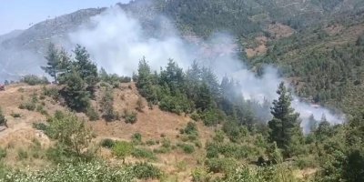 Feke’de orman yangını: Ekiplerin müdahalesi sürüyor