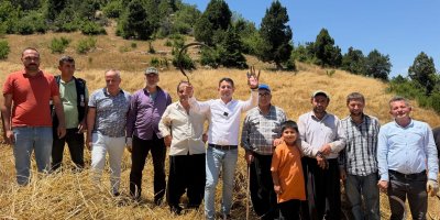 Toroslar’ın zirvesinde oraklı hasat mesaisi