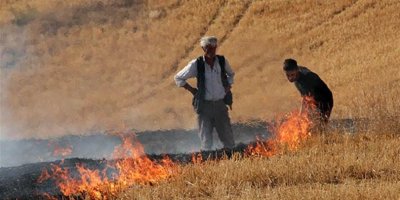 Adana’da çiftçilere anız uyarısı: Ceza 5 kat artabilir