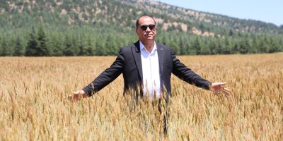 Saimbeyli Belediye Başkanı Mahmut Dal: “Buğdayı ekmeğe dönüştürüp vatandaşa uygun fiyatla sunuyoruz”