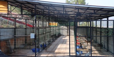 Kozan’da hayvan bakım ve rehabilitasyon merkezi hizmete girdi