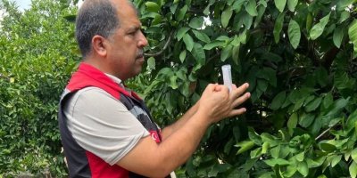 Kozan’da biyolojik mücadele için 108 bin arı doğaya salındı