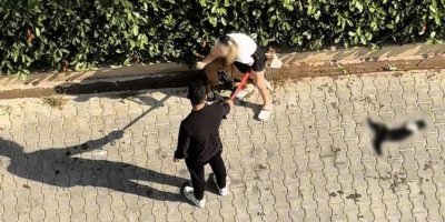 Pitbull saldırısında yeni gelişme: Köpeğin sahibine 95 bin TL ceza