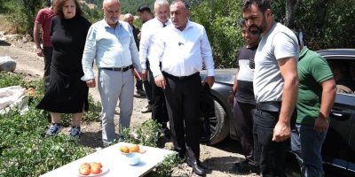 Adana Büyükşehir’in fide desteği Saimbeyli’de hasada dönüştü