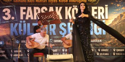 17 Mahalle "Farsak Kültür Şenliğinde" buluştu