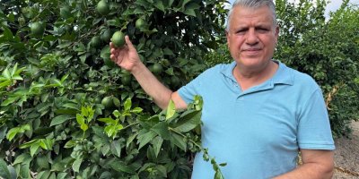 Ayhan Barut’tan limon üreticisi için çağrı: “Maliyet 10 lirayken 5-6 lira dayatması kabul edilemez”