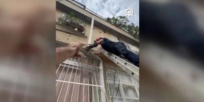 Yüreğir’de gider borusuna düşen yavru kediyi itfaiye ekibi kurtardı
